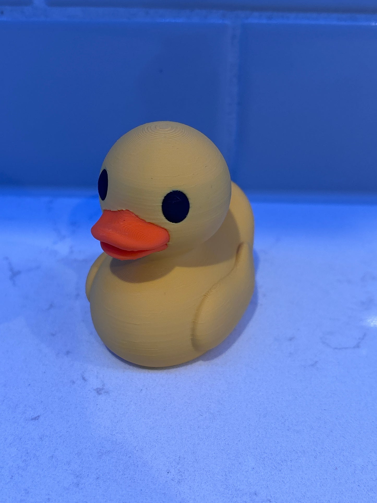 3D Duck