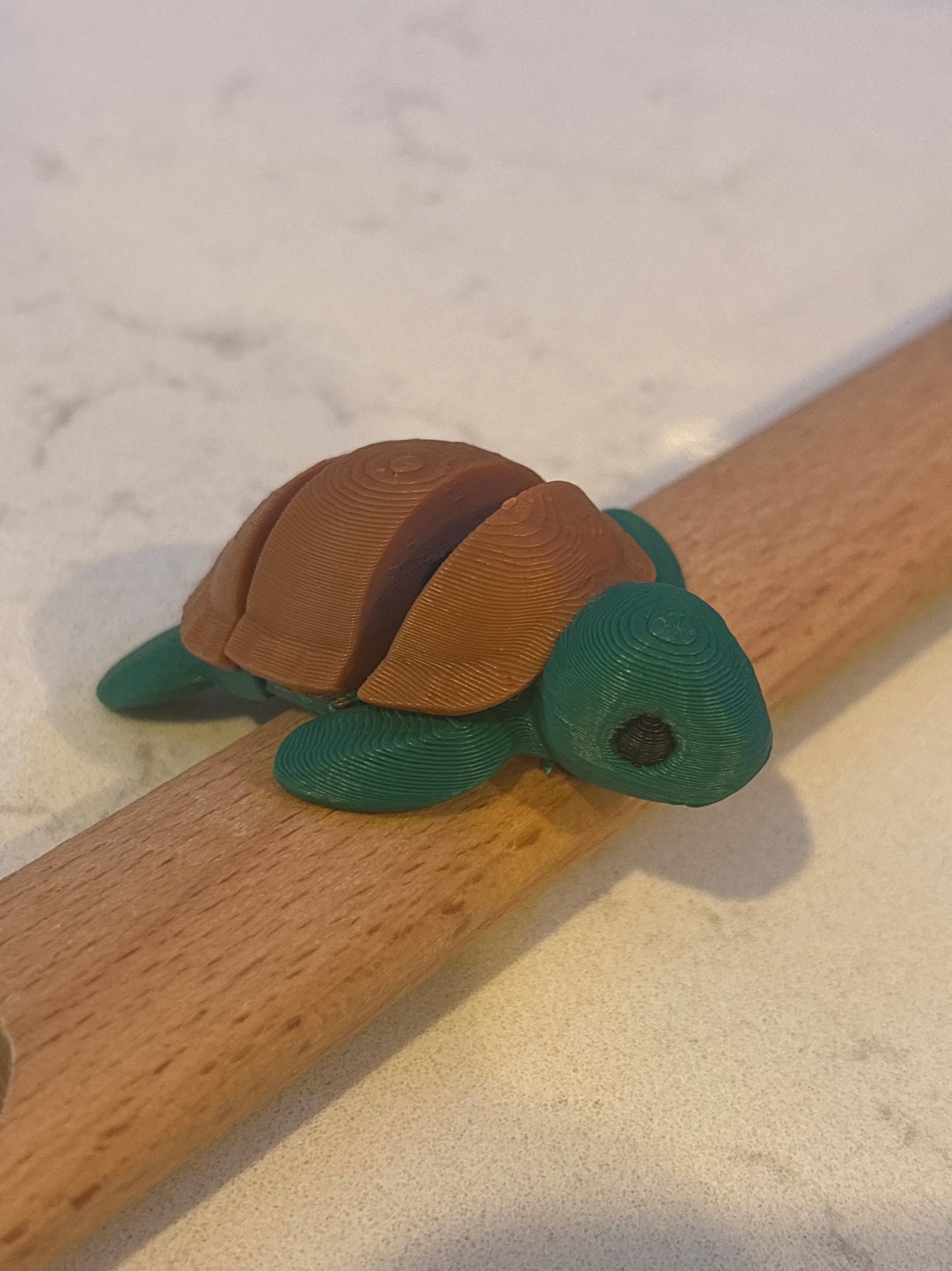 3D Mini turtle