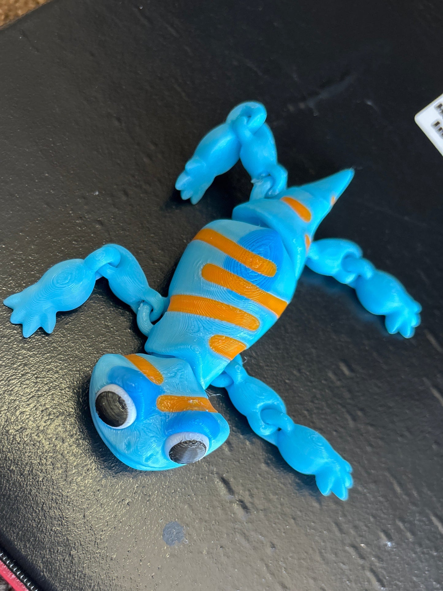 3D multicolor lizard