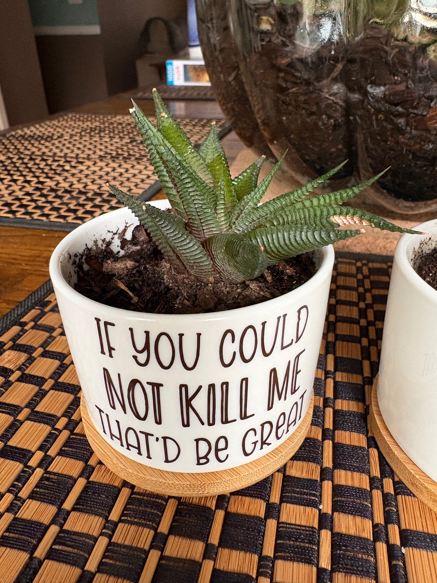 Funny plants