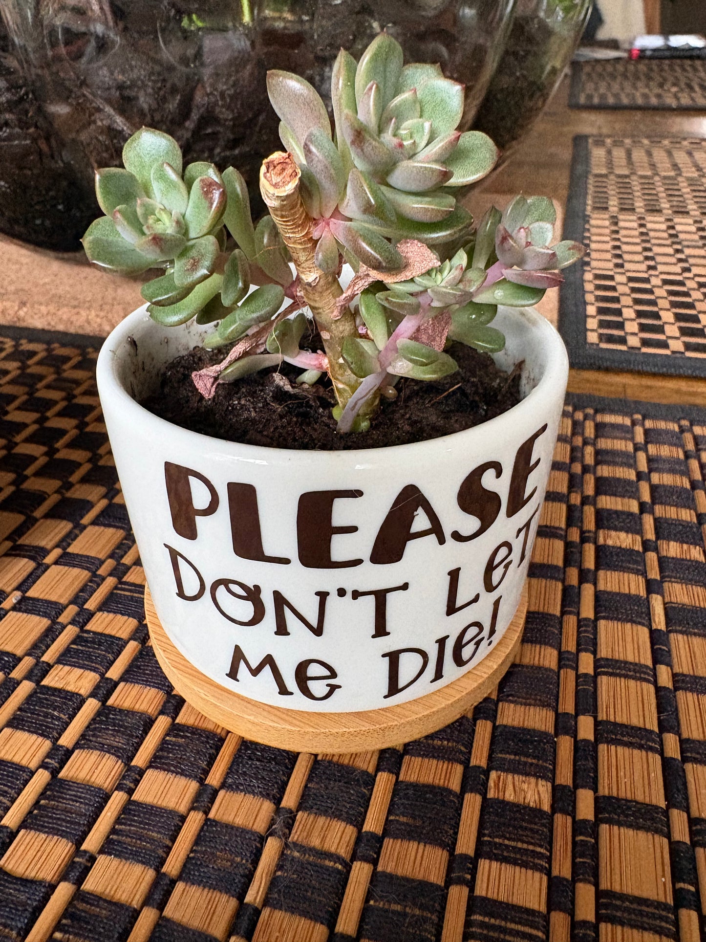 Funny plants